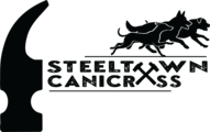 steeltowncanicross