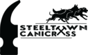 steeltowncanicross