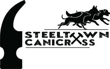steeltowncanicross
